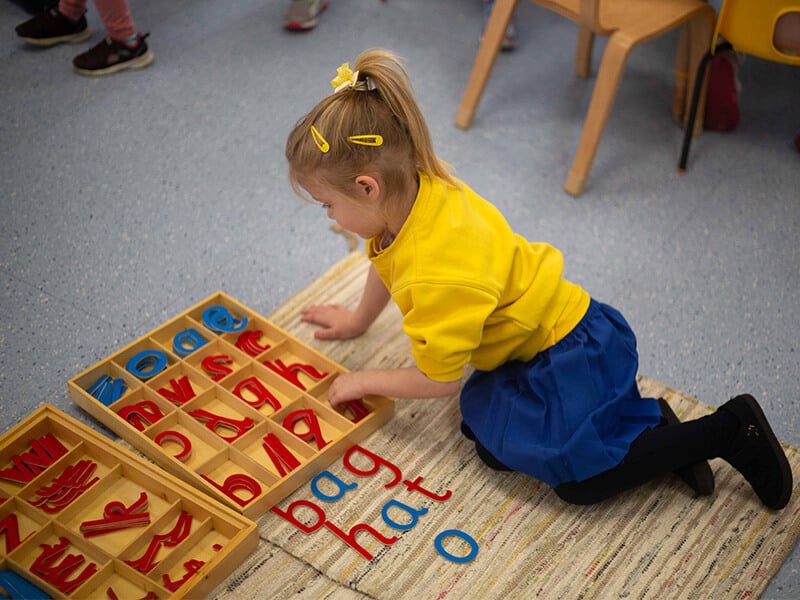 A young child at The Little Learners Montessori focuses on a Montessori language activity, using movable letters to spell simple words, fostering early literacy, cognitive skills, and independence in a hands-on learning environment.