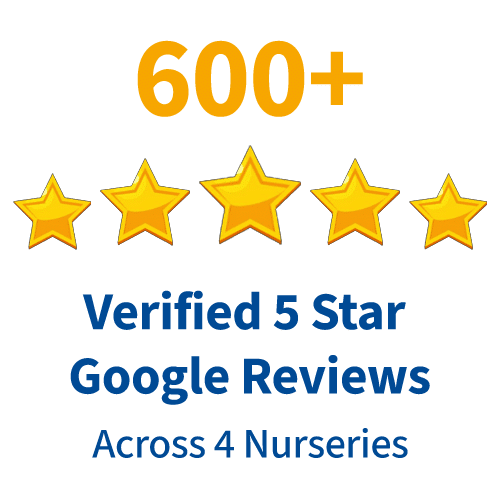 5 Star Google Reviews Across 4 Nurseries